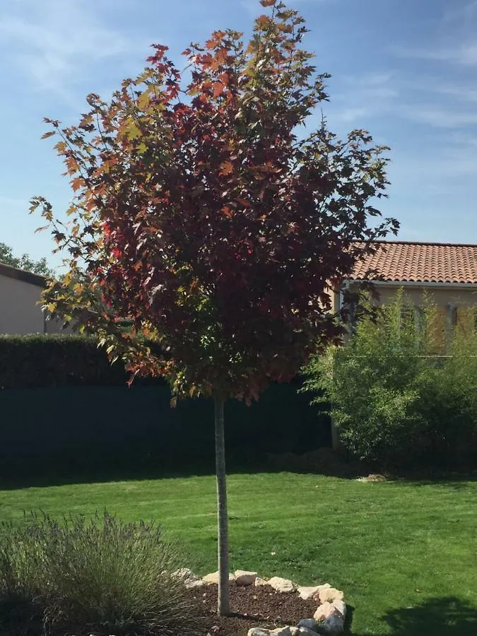 Chambres D'Hotes Asam Lherm  0*, Lherm (Haute-Garonne)